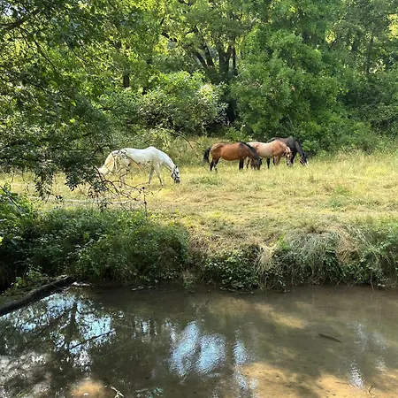 Vakantiehuis Les De La Gassende