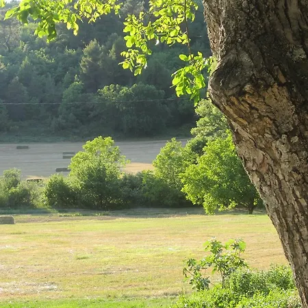 Les De La Gassende * 리에