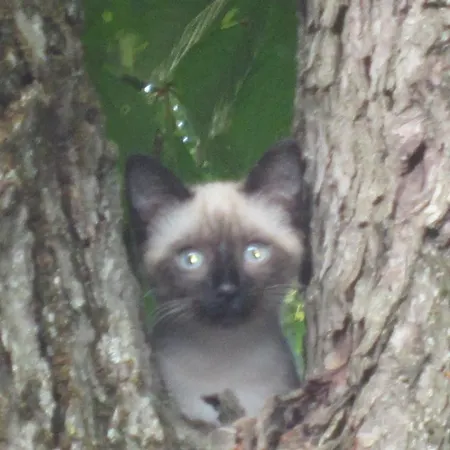 Les De La Gassende 펜션 리에