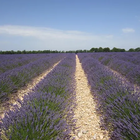 Les De La Gassende 펜션 리에