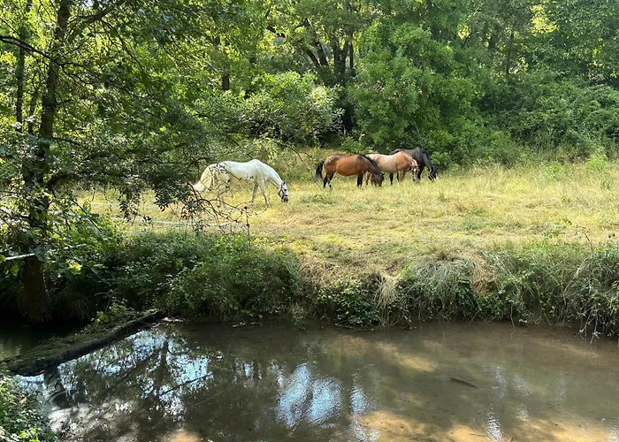 Vakantiehuis Les De La Gassende