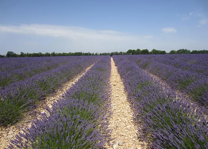 Les De La Gassende Vakantiehuis Riez